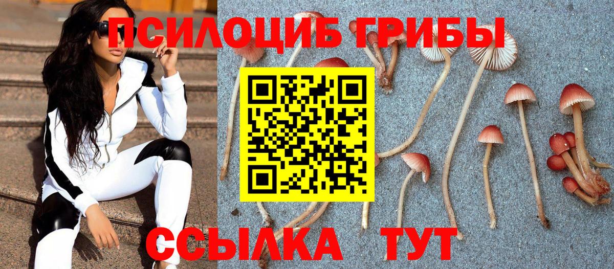 Галлюциногенные грибы Magic Shrooms Ржев